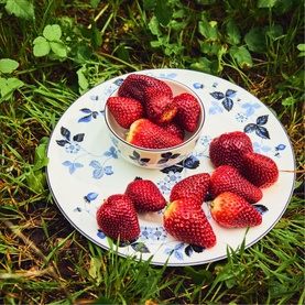 Wild Strawberry Inky Blue Plate 20cm