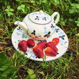 Wild Strawberry Inky Blue Plate 20cm