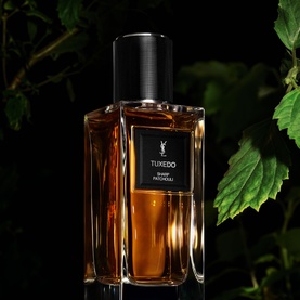 YSL Le Vestiaire des Parfums Tuxedo Eau de Parfum, amber-filled rectangular bottle with black cap, set against dark green foliage