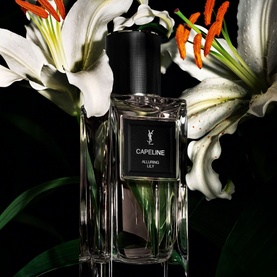 Le Vestiaire des Parfums Capeline Eau de Parfum