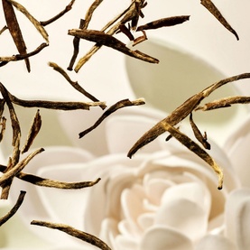 The Ritual of Karma Overnight Body Mask