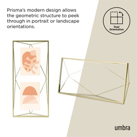 Prisma Picture Frame 48 x 23