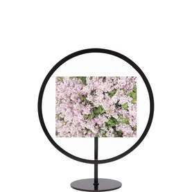 Infinity Round Picture Frame 27 x 22