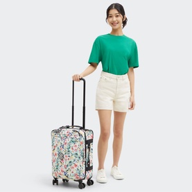Spontaneous Small Cabin Luggage