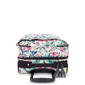 Spontaneous Small Cabin Luggage