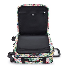 Spontaneous Small Cabin Luggage