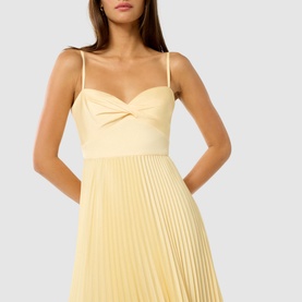 Chloe Pleated Flared Dress