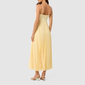 Chloe Pleated Flared Dress