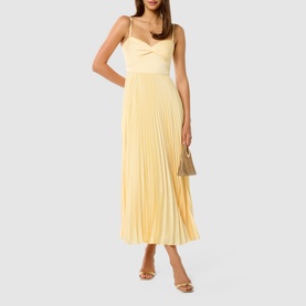 Chloe Pleated Flared Dress