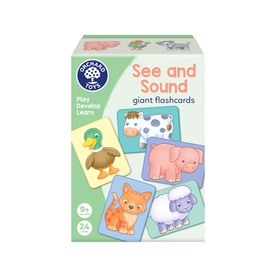 See & Sound Giant Flashcards