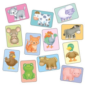 See & Sound Giant Flashcards