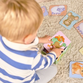 See & Sound Giant Flashcards