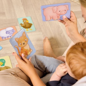 See & Sound Giant Flashcards