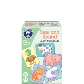 See & Sound Giant Flashcards