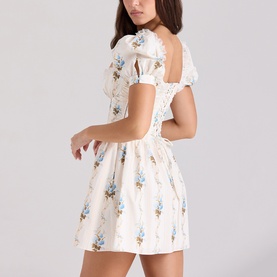 Issa Floral Corset Mini Dress
