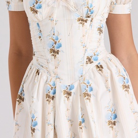 Issa Floral Corset Mini Dress