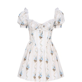 Issa Floral Corset Mini Dress