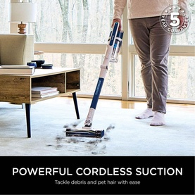 PowerPro Cordless Stick