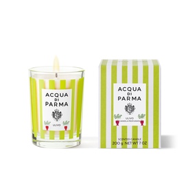 Ulivo Candle