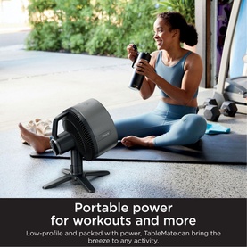 FlexBreeze TableMate Cordless Fan