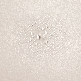 Serene Scalp Densifying Treatment Spray