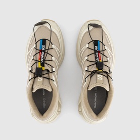XT-6 GTX Trainers