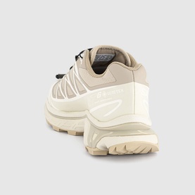 XT-6 GTX Trainers