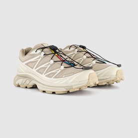XT-6 GTX Trainers