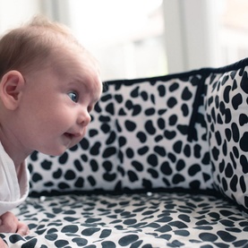 Animal Print Reversible Sensory Strip