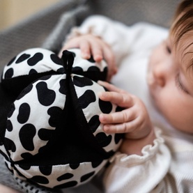 Dalmatian Sensory Grasp Ball