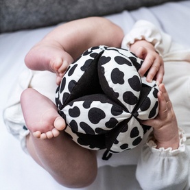 Dalmatian Sensory Grasp Ball