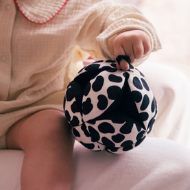 Dalmatian Sensory Grasp Ball