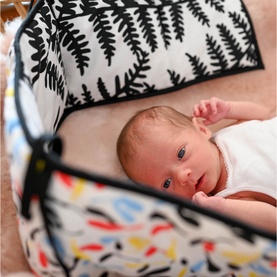 Plant Print Sensory Strip
