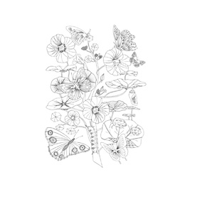 Naturalist Colouring Portfolio Kit