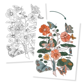 Naturalist Colouring Portfolio Kit