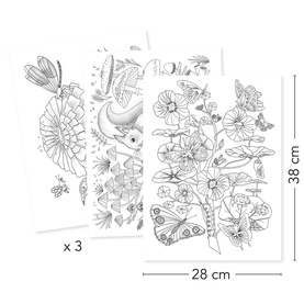 Naturalist Colouring Portfolio Kit