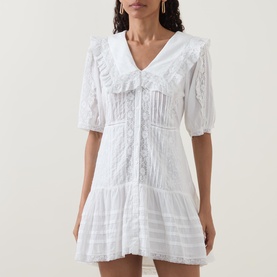Dove Embroidered Mini Dress