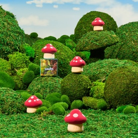 Mushroom Makeup Sponge