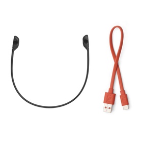 True Wireless Open Earhook Neckband Black