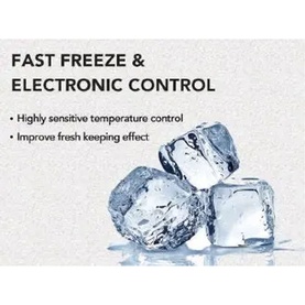 54x170cm 161/70L Fridge Freezer FrostFree