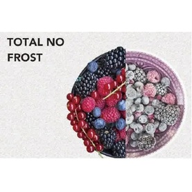 54x170cm 161/70L Fridge Freezer FrostFree