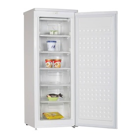 170L Tall Freezer