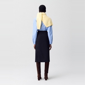 Pleat Detail Flared Skirt