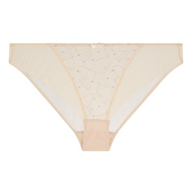 Amour Lace Sheer Briefs