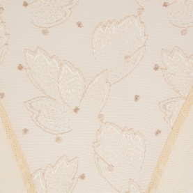 Amour Lace Sheer Briefs
