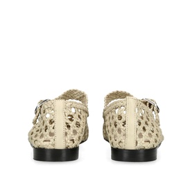 Mary Jane Woven Pointed Toe Flats