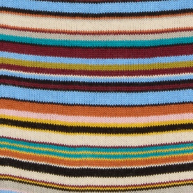 Signature Artist Stripe Socks
