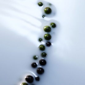 Blanche Absolu Eau de Parfum