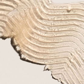 The Controlling Type Hair Thickening Edge Control