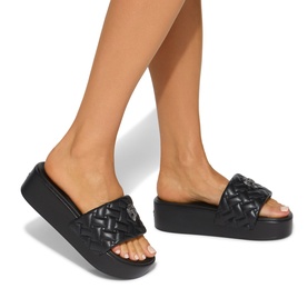 Meena Eagle Platform Slides
